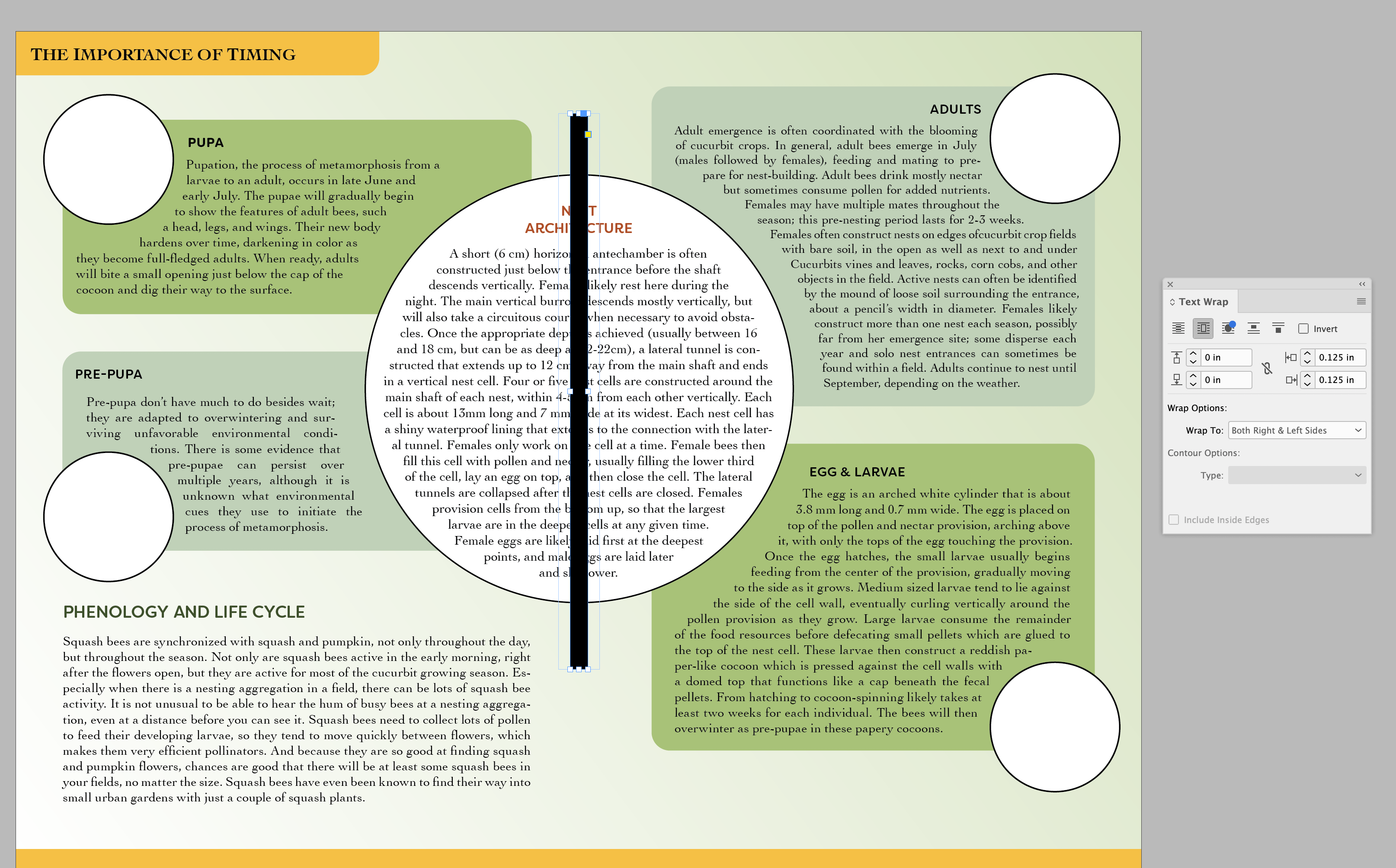 how to ignore text wrap in indesign