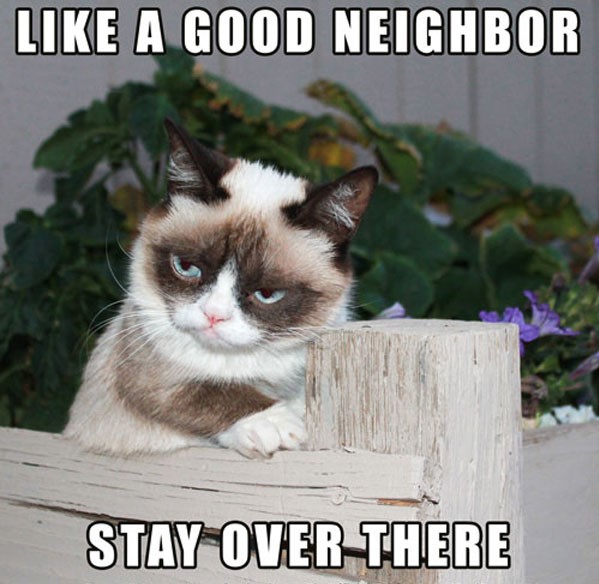 grumpy-cat-meme-01