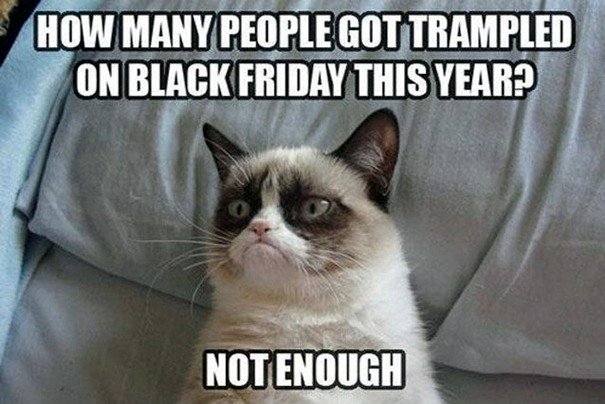 001-best-Grumpy-Cat-memes