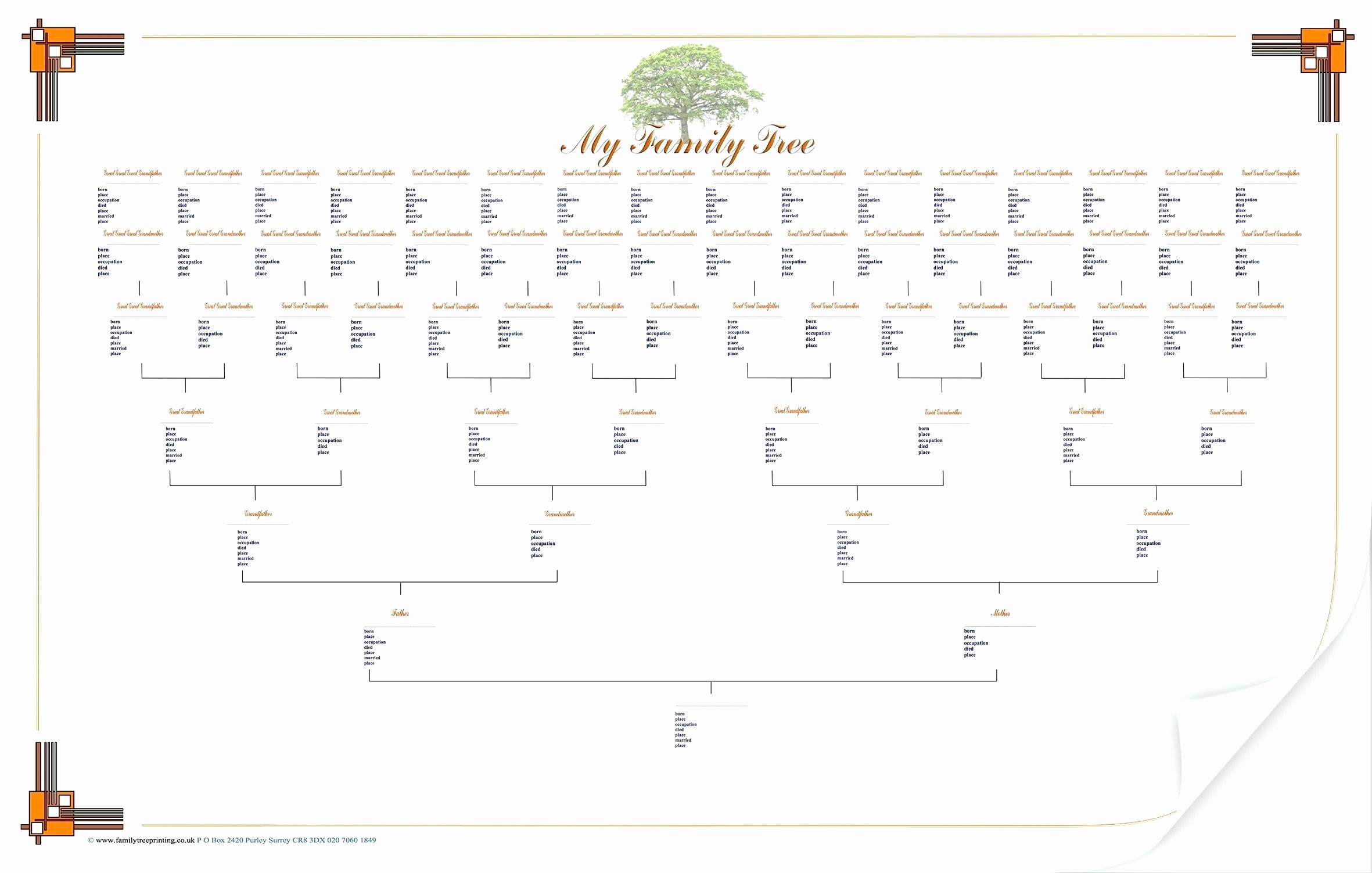 Family Tree Templates 7 By CraigB Graphic Design Graphic Design 