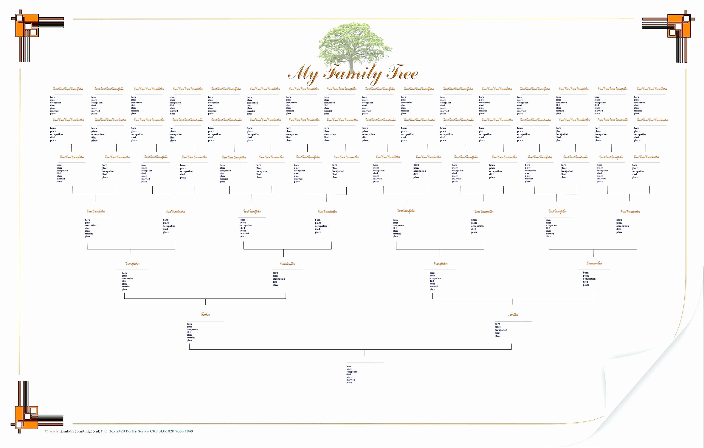 Family Tree Templates 7 By CraigB Graphic Design Graphic Design Family Tree Templates 7 By CraigB Graphic Design Graphic Design