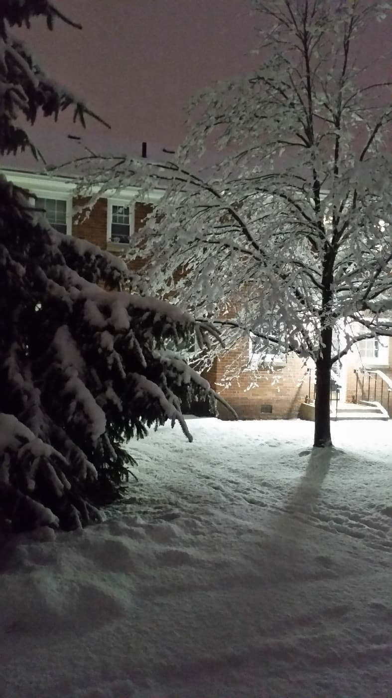 marchsnow13