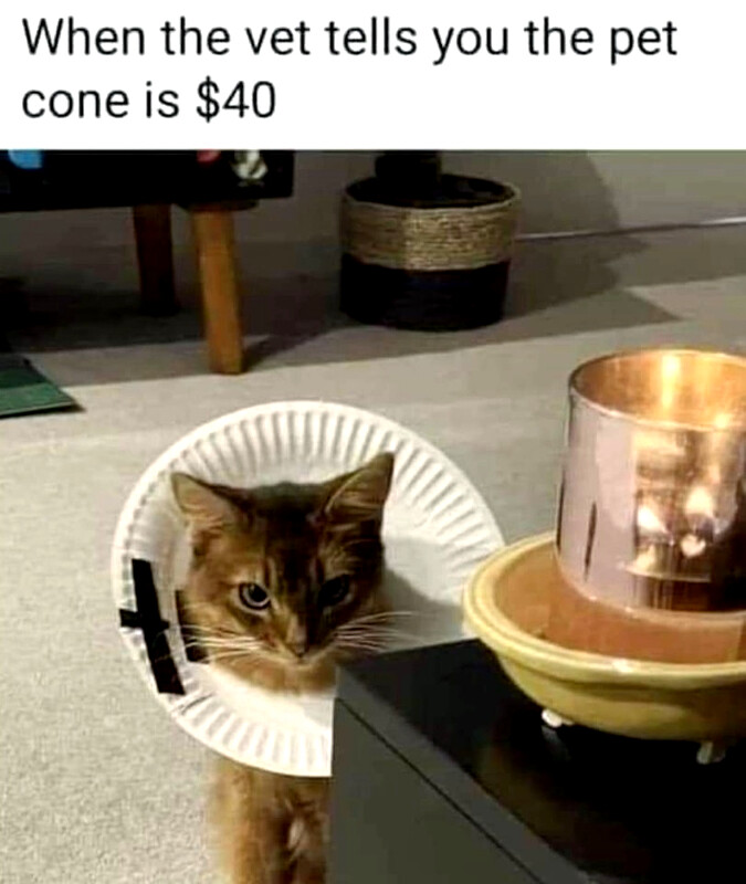 catcollar