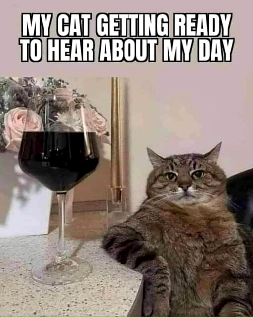 cattherapy