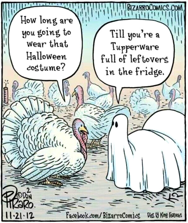 Bizarro 11-21-12