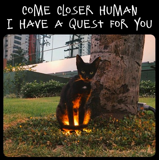 questcat