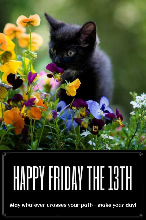 friday13(1)