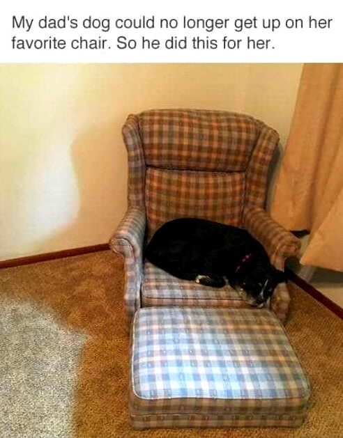 pup