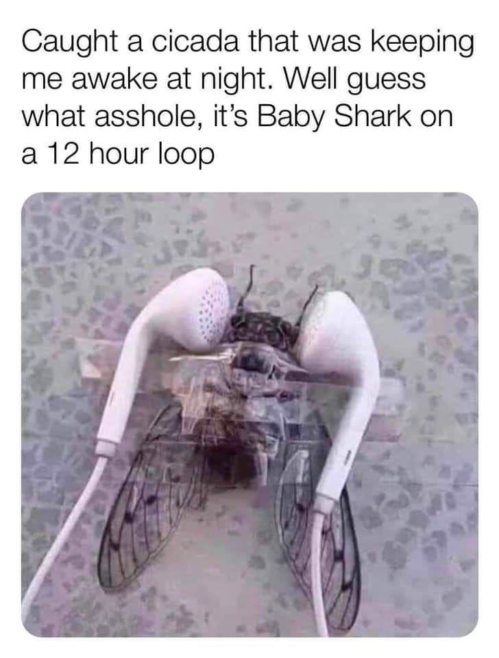 9dukn0bqsh3h1