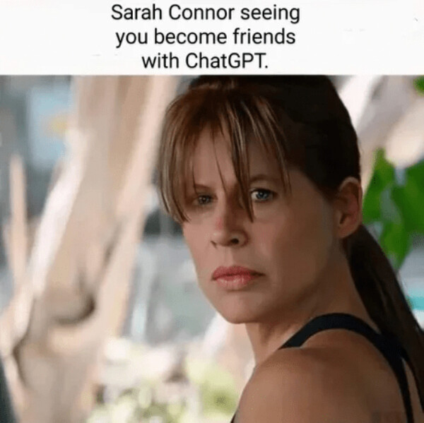 person-sarah-connor-seeing-become-friends-with-chatgpt-136-1381544493