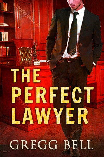 mockup05_The Perfect Lawyer