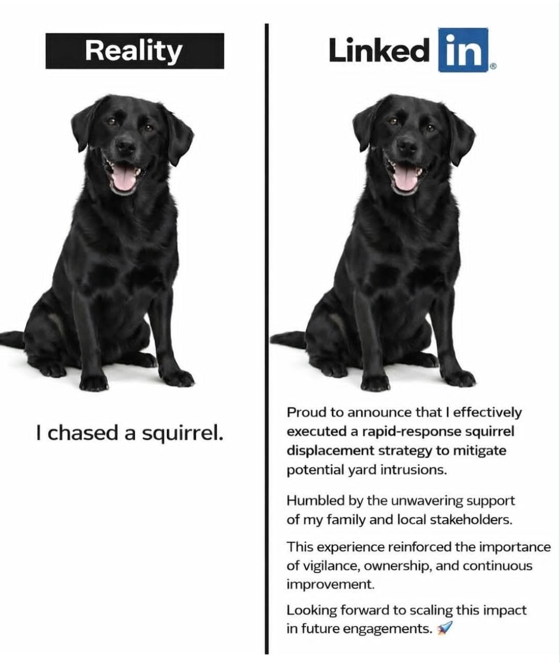 Screenshot 2026-02-11 at 4.35.32 PM