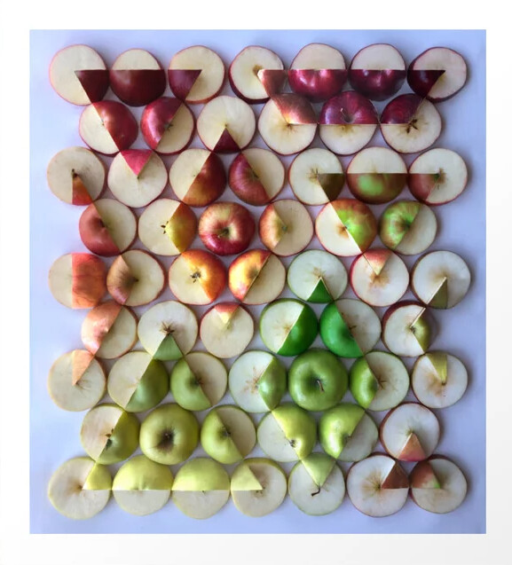 apple-treeometry