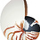 Mydesign