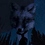 SkyFox